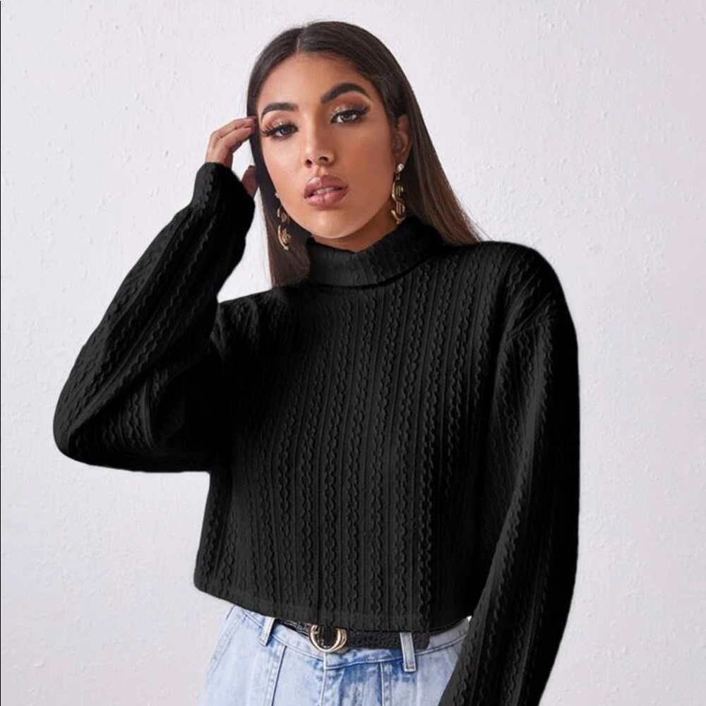 SHEIN Black Turtleneck Sweater